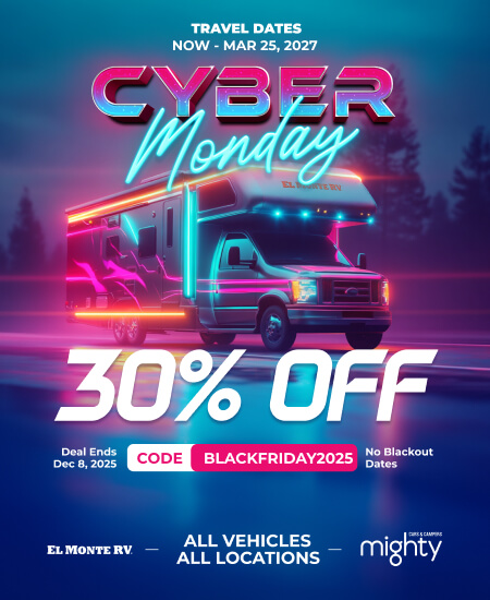 Cyber Monday Special