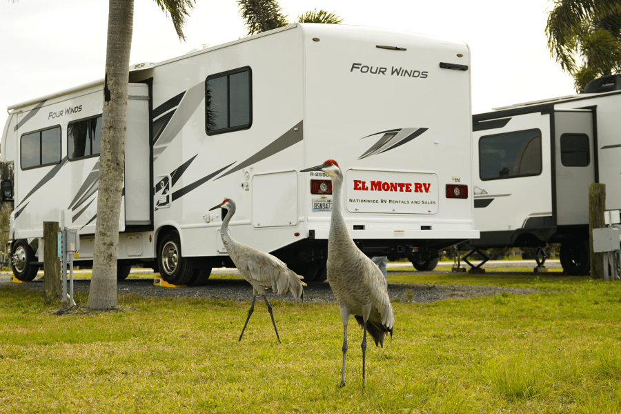 Florida