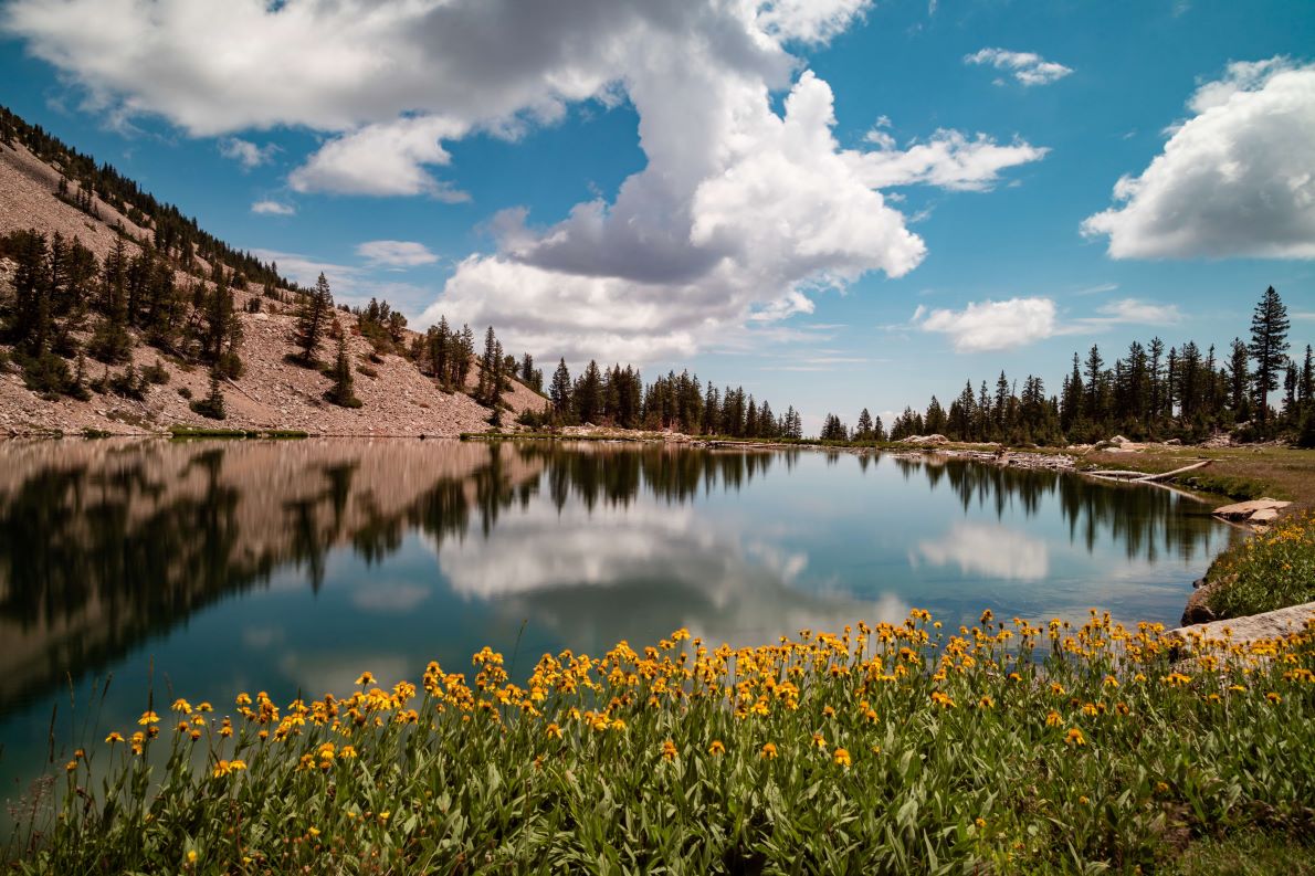 Explore Nevada by RV Bottom Right